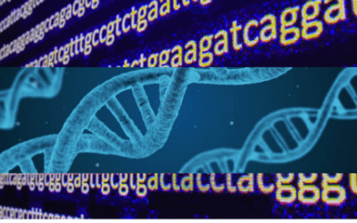 DNA – Your Blueprint and Whence it Came