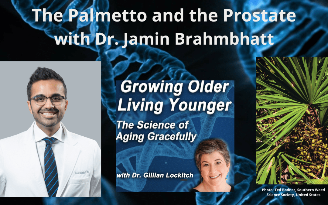 070 Dr. Jamin Brahmbhatt: The Palmetto and the Prostate